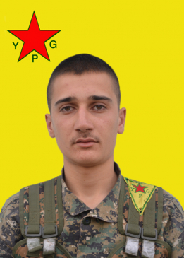 Çekdar Ararat