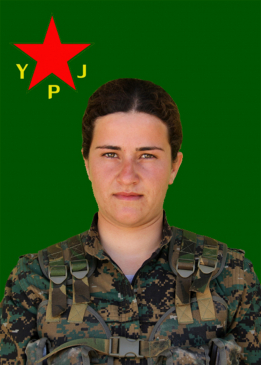 دنيزاعيكد