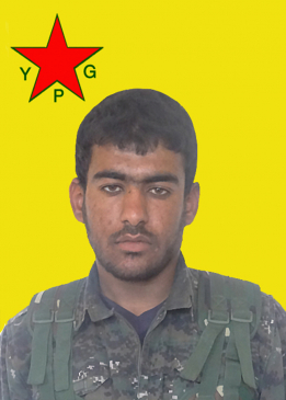 Dilşer Yusifiyê