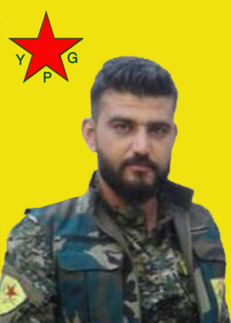 Elî Diyar