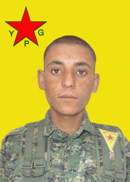 حسن الشدادي