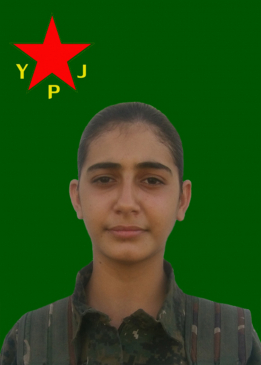 Newroz Seydo