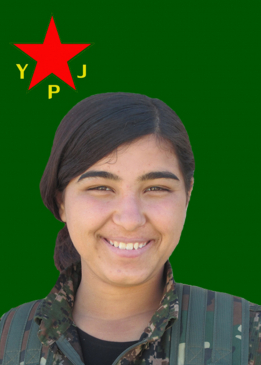Newroz Zagroz