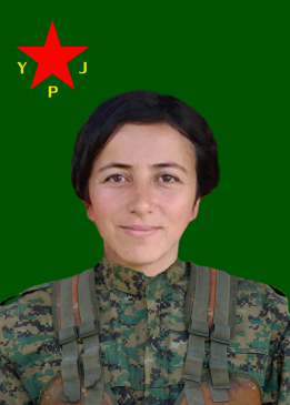 Raperîn Dicle