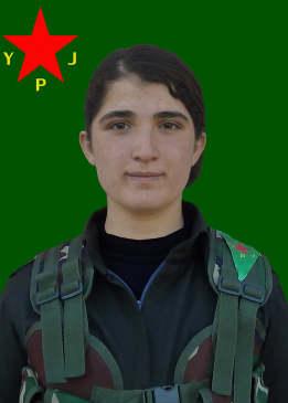 Raperîn Reşîd