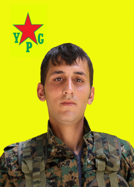 Reber Tekoşîn
