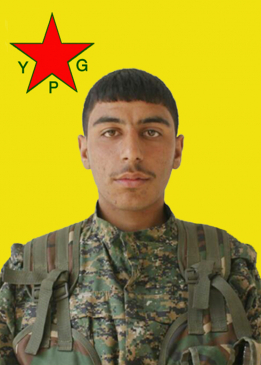 Renas Hesekê