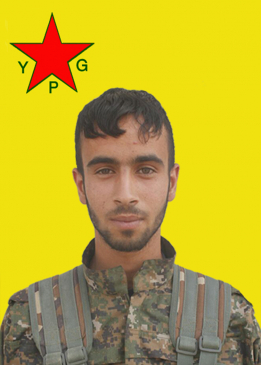 Renas Hesekê