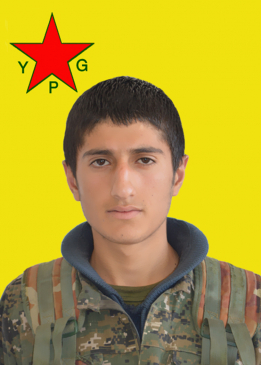 Rohat Amed