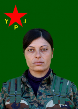 Rojda Amed