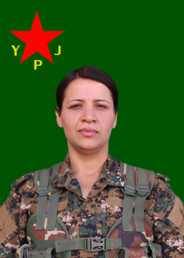 Rojîn Efrîn