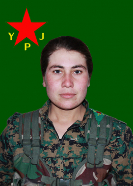 Rojîn Zekerî