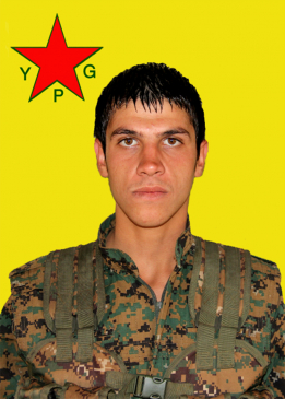 Ronî Sîpan