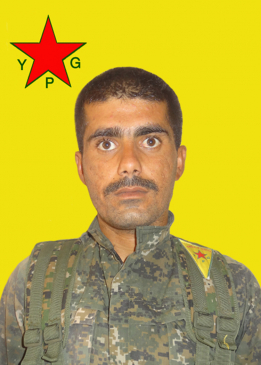 Şah Qamişlo