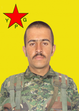 Şah Qamişlo