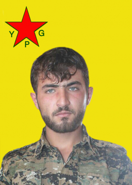 Serhed Şîno