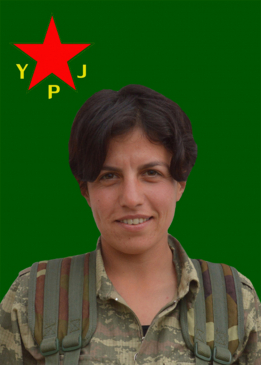 Sila Tekoşîn