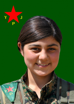 Sterk Çiya