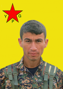 Tolhildan Qamişlo