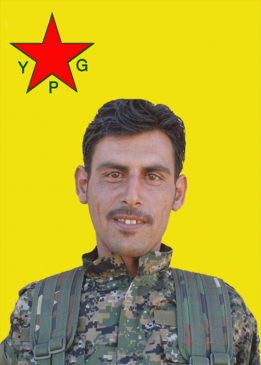 Welat Amed