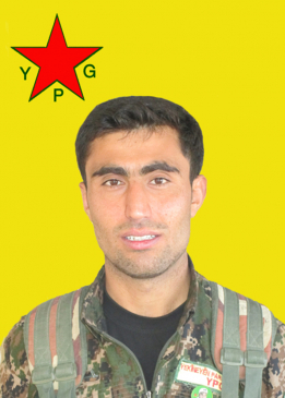 Zagros Qelqelî