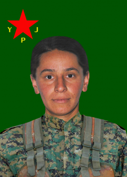 Arjîn Avaşîn