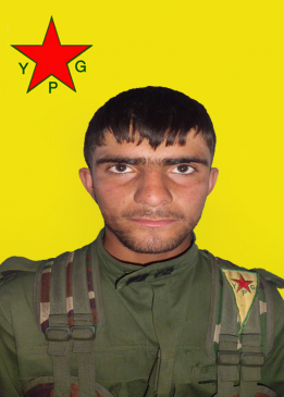 Awaz Xebat Efrîn