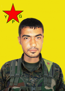 Azad Amed