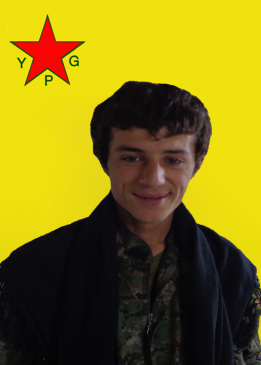 Çekdar Kobanê