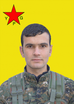 جمشيد آمد
