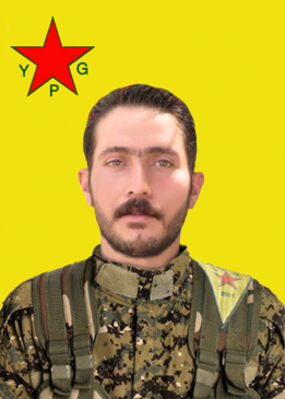 جمشيد قامشلو