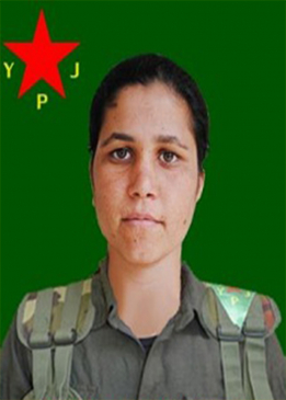 Çîçek Kobanê