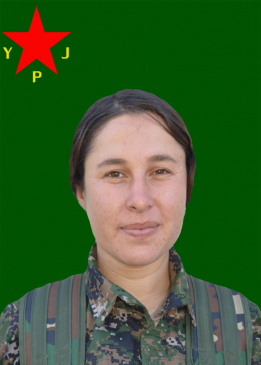 Dîcle Gabar
