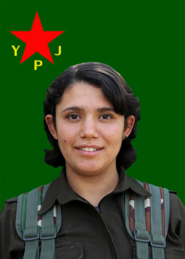 دوزا برخودان