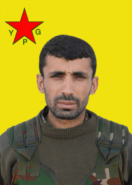 Egîd Amed