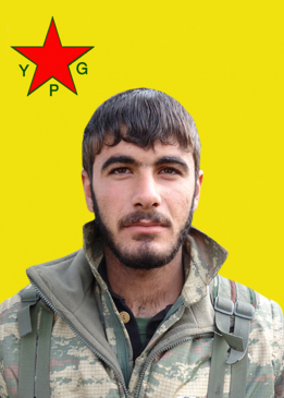 Egîd Delîl