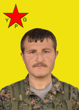 Erdal Herekol