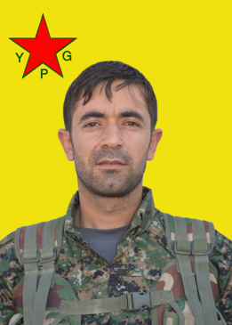 Eşref Tolhildan