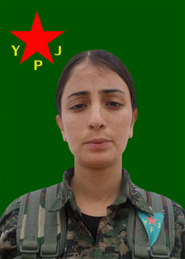 Evîn Hesekê