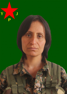 Gulan Hekkarî
