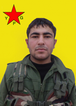 Harun Qasimiyê