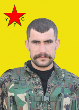 Hogir Amed