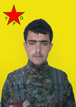 Hogir Girdê