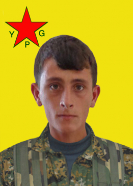 Hogir Serê Kaniyê