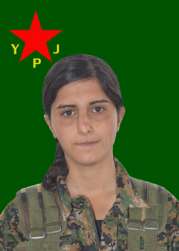 Jiyanda Çarçela