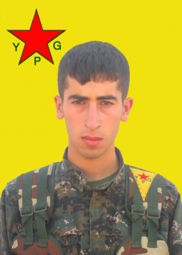 Kemal Tekoşîn