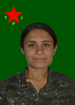 Lîzge Hêvîn Çiya