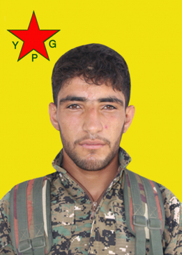 Mehmûd Kobanê