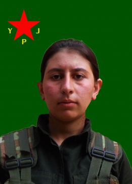 Peyman Cudî
