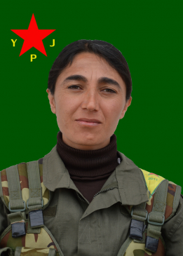 Rojda Axîn